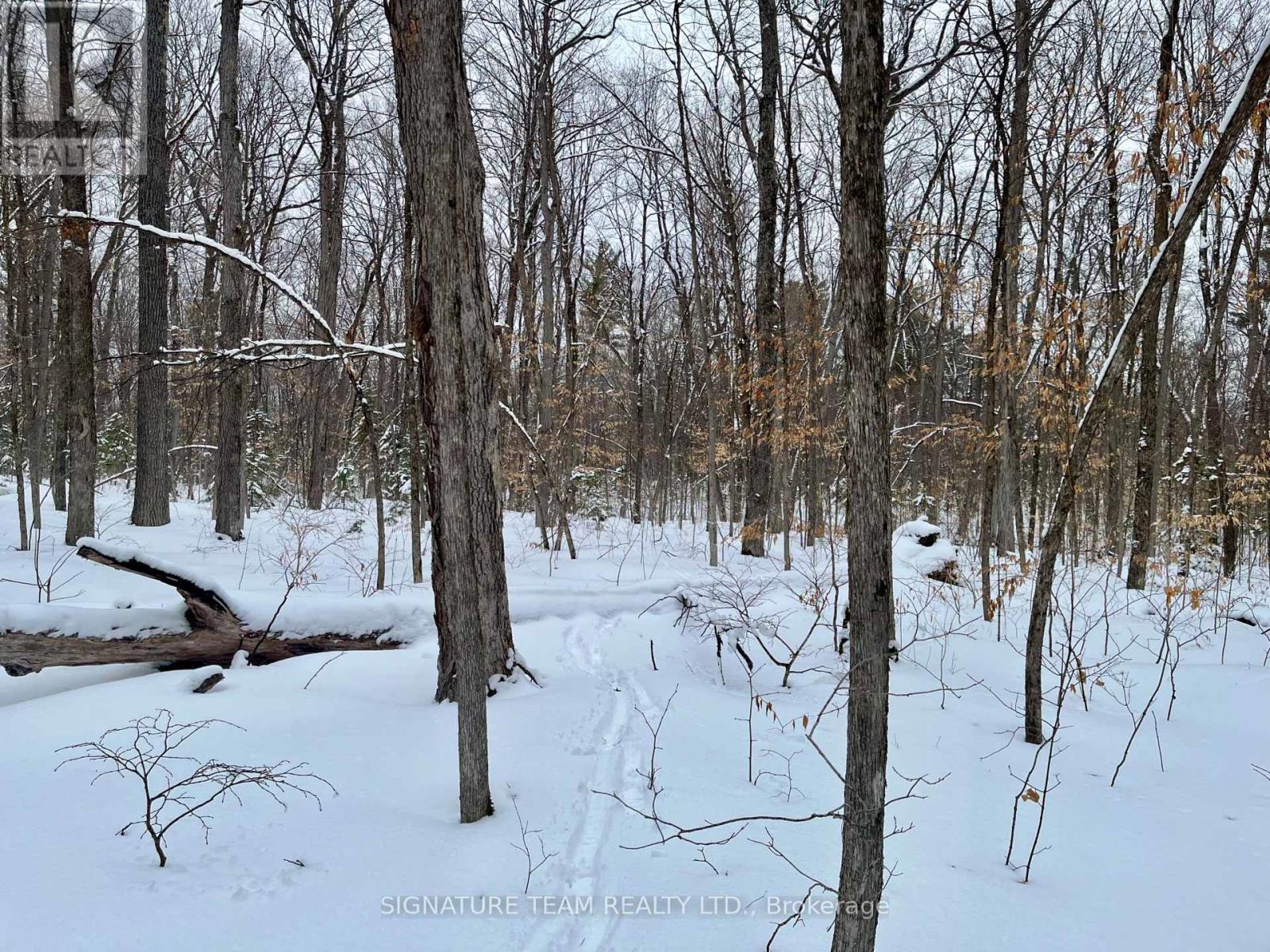 Pt Lt 3 Snake River Line, Laurentian Valley, Ontario  K0J 1K0 - Photo 16 - X12904508