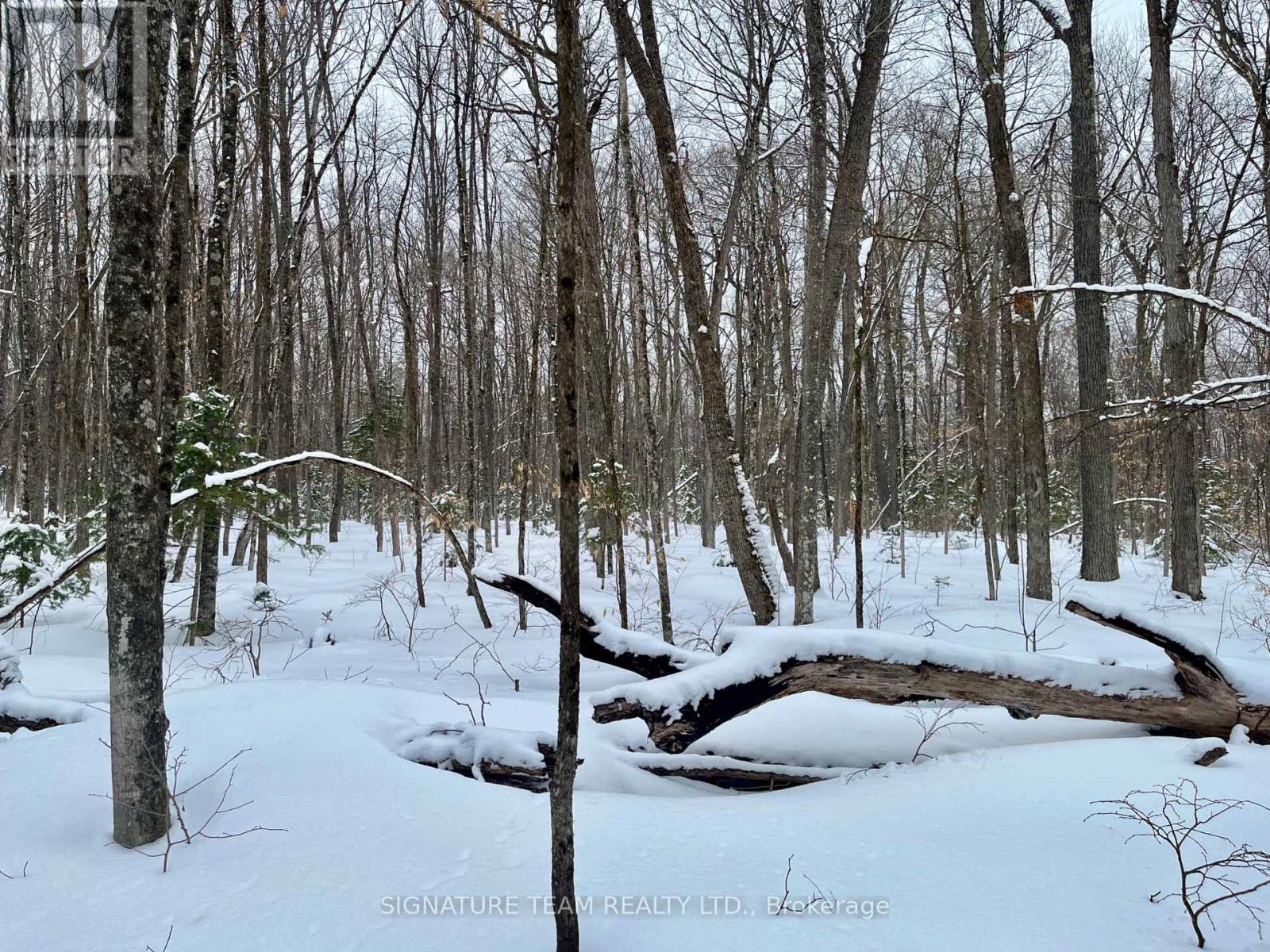 Pt Lt 3 Snake River Line, Laurentian Valley, Ontario  K0J 1K0 - Photo 17 - X12904508