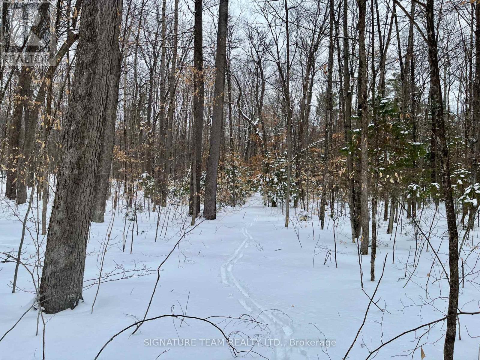Pt Lt 3 Snake River Line, Laurentian Valley, Ontario  K0J 1K0 - Photo 21 - X12904508