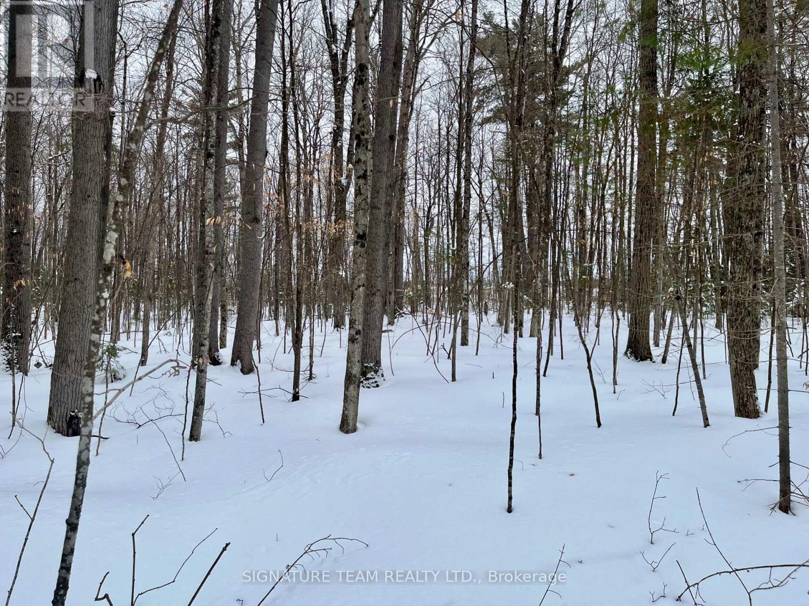 Pt Lt 3 Snake River Line, Laurentian Valley, Ontario  K0J 1K0 - Photo 23 - X12904508