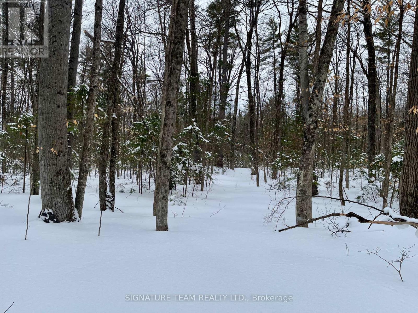 Pt Lt 3 Snake River Line, Laurentian Valley, Ontario  K0J 1K0 - Photo 24 - X12904508