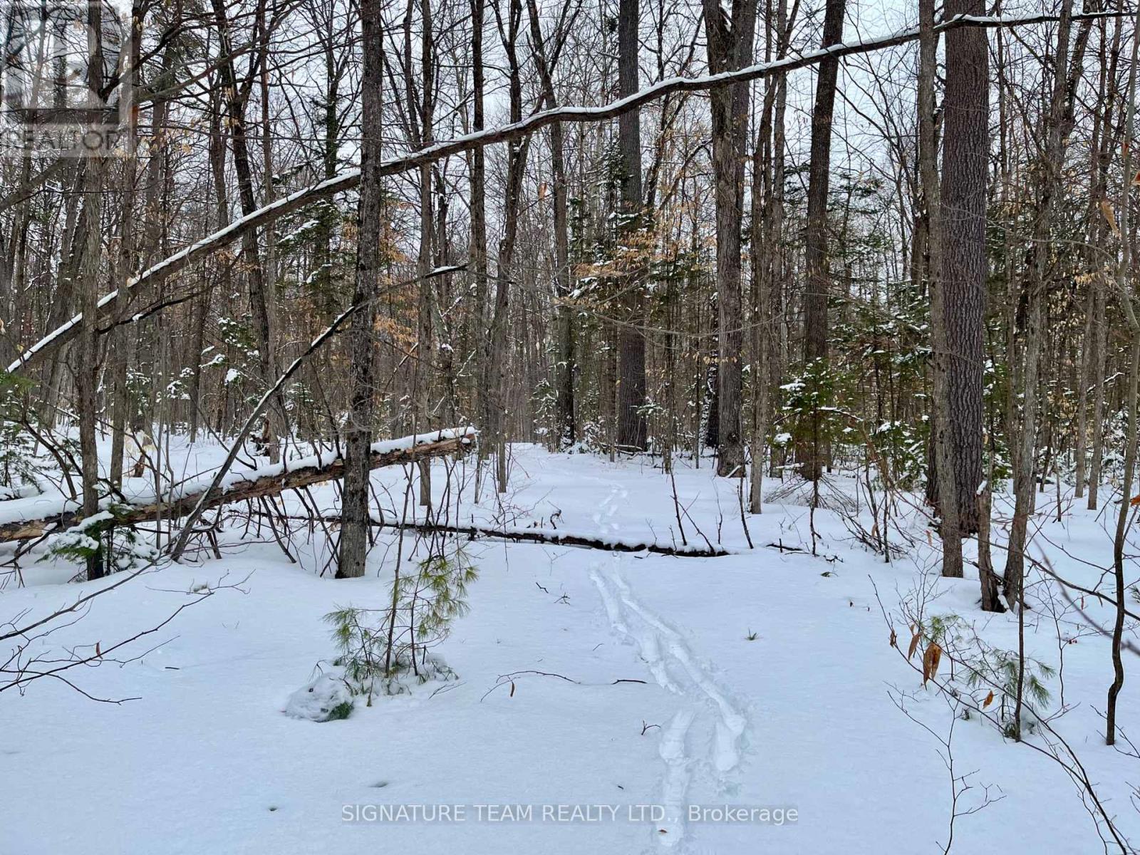 Pt Lt 3 Snake River Line, Laurentian Valley, Ontario  K0J 1K0 - Photo 25 - X12904508