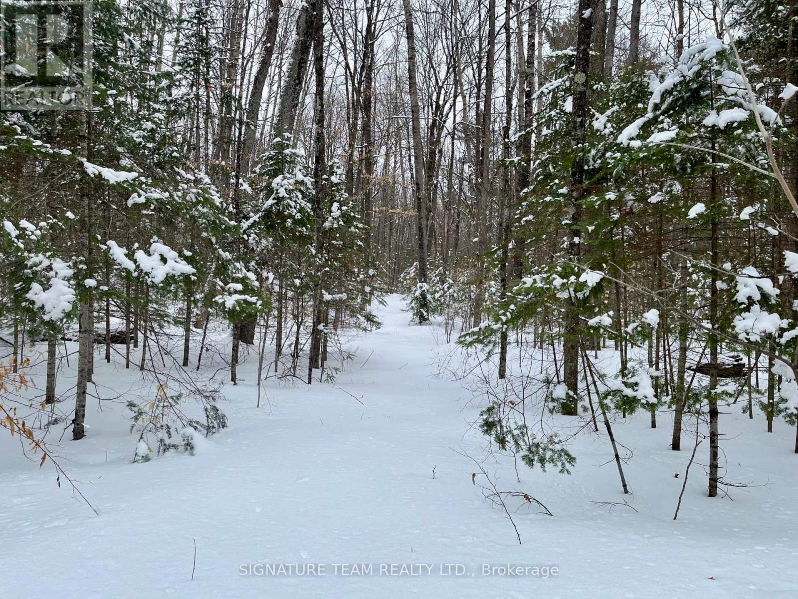 Pt Lt 3 Snake River Line, Laurentian Valley, Ontario  K0J 1K0 - Photo 26 - X12904508