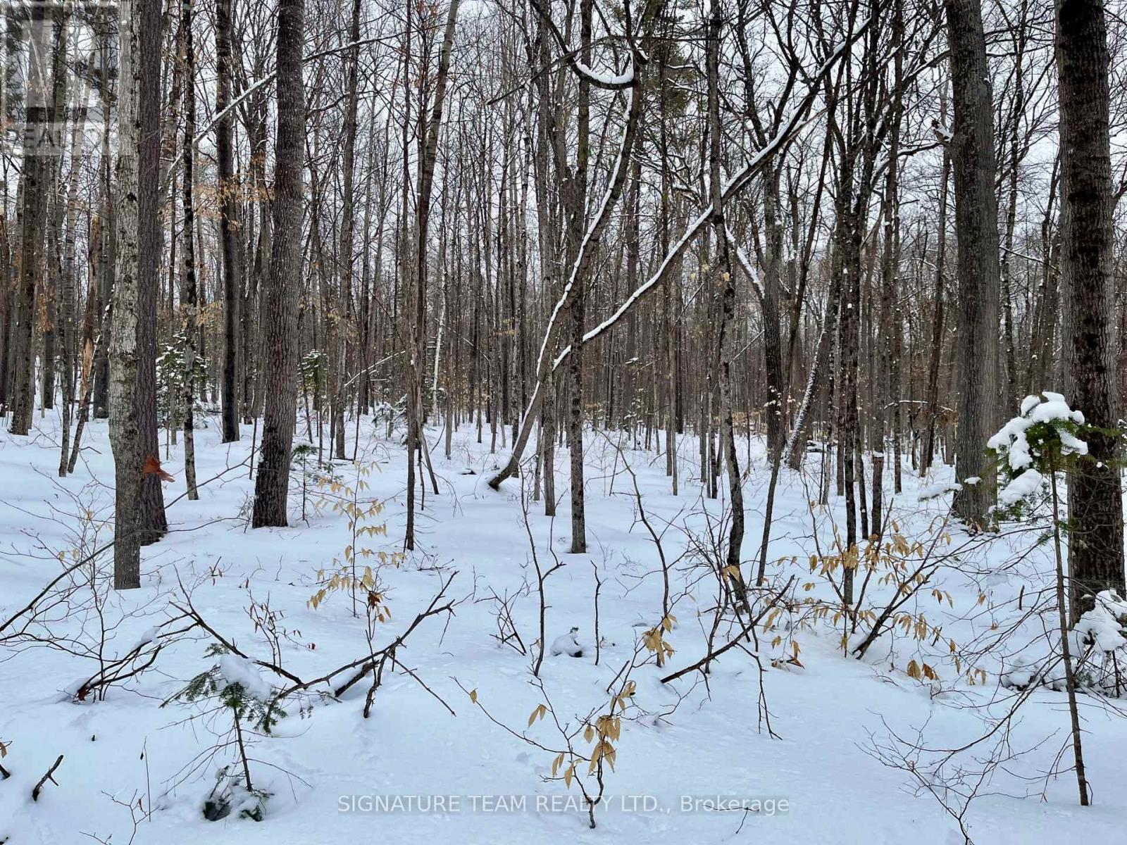 Pt Lt 3 Snake River Line, Laurentian Valley, Ontario  K0J 1K0 - Photo 27 - X12904508
