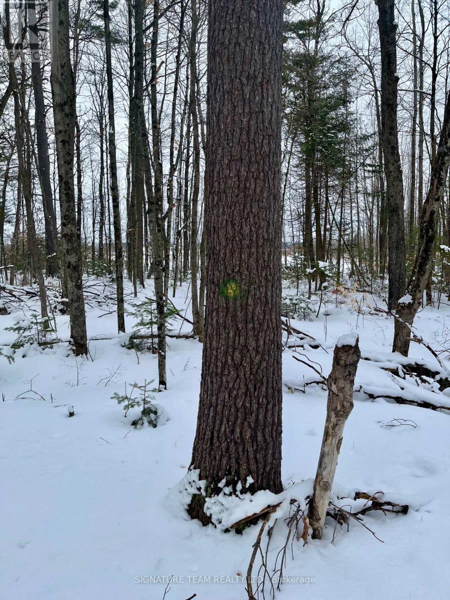 Pt Lt 3 Snake River Line, Laurentian Valley, Ontario  K0J 1K0 - Photo 28 - X12904508