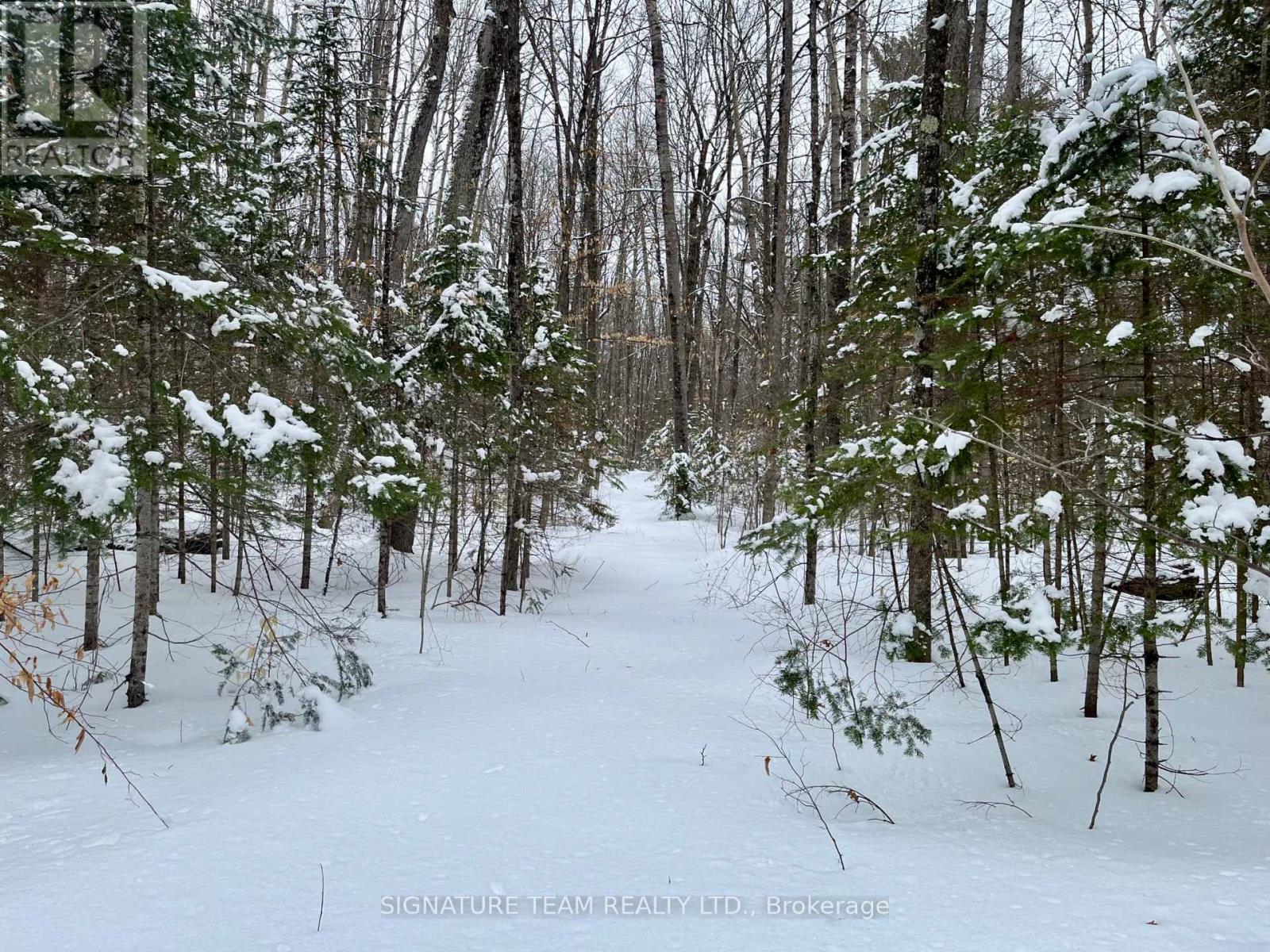 Pt Lt 3 Snake River Line, Laurentian Valley, Ontario  K0J 1K0 - Photo 29 - X12904508