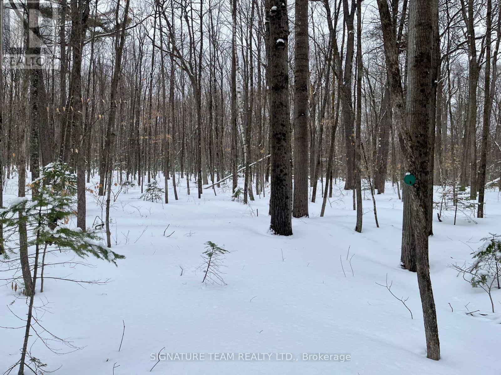 Pt Lt 3 Snake River Line, Laurentian Valley, Ontario  K0J 1K0 - Photo 30 - X12904508