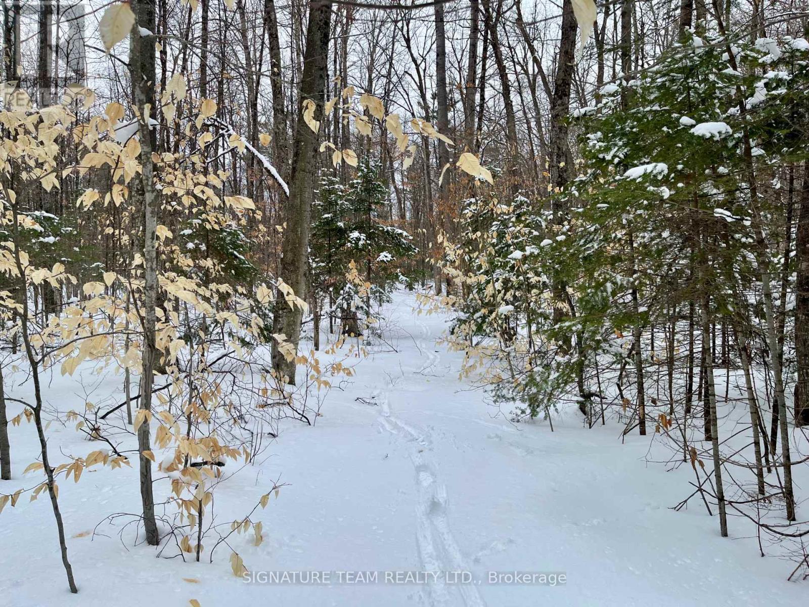 Pt Lt 3 Snake River Line, Laurentian Valley, Ontario  K0J 1K0 - Photo 31 - X12904508
