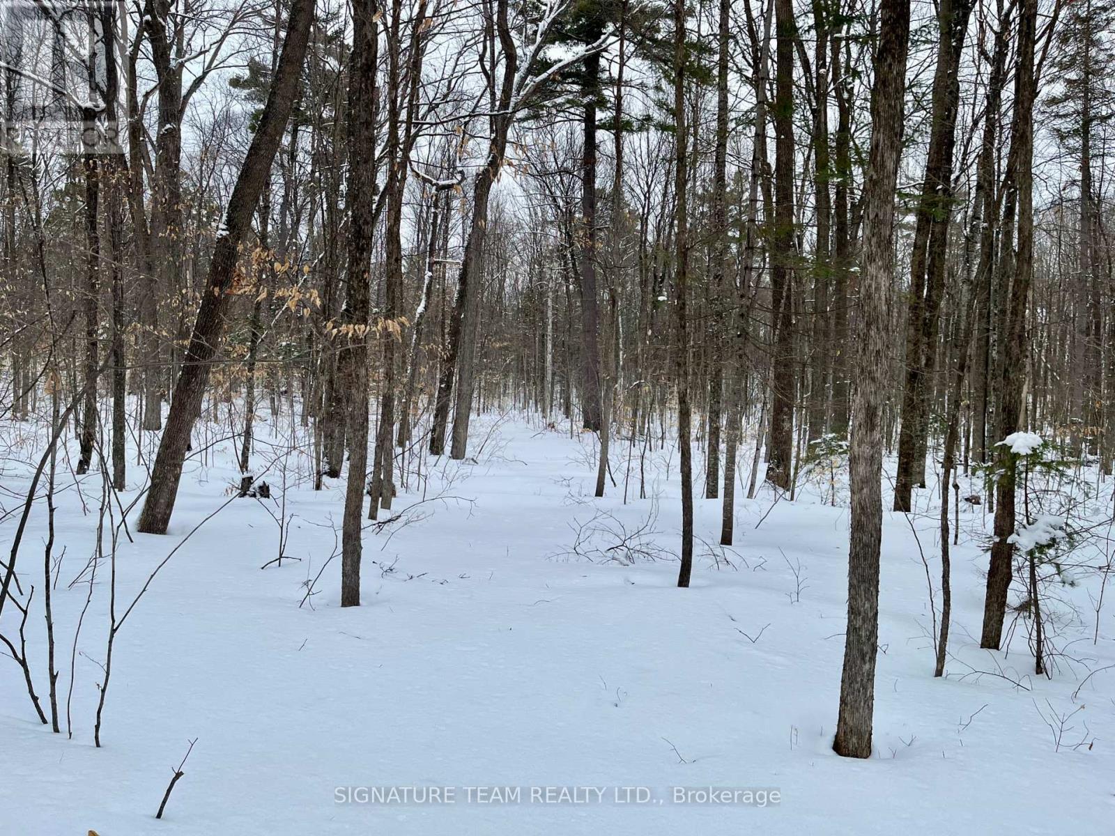 Pt Lt 3 Snake River Line, Laurentian Valley, Ontario  K0J 1K0 - Photo 32 - X12904508