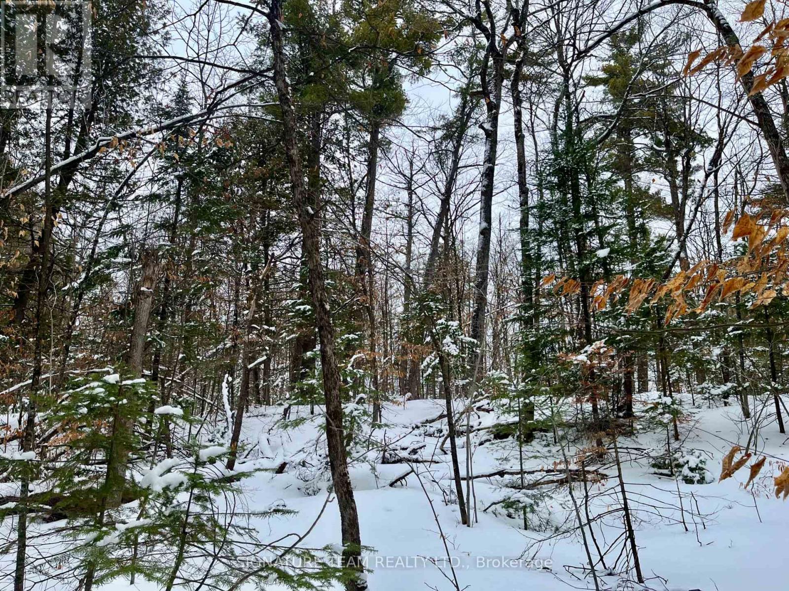 Pt Lt 3 Snake River Line, Laurentian Valley, Ontario  K0J 1K0 - Photo 33 - X12904508
