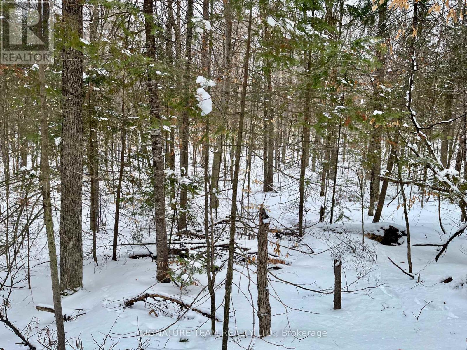 Pt Lt 3 Snake River Line, Laurentian Valley, Ontario  K0J 1K0 - Photo 34 - X12904508