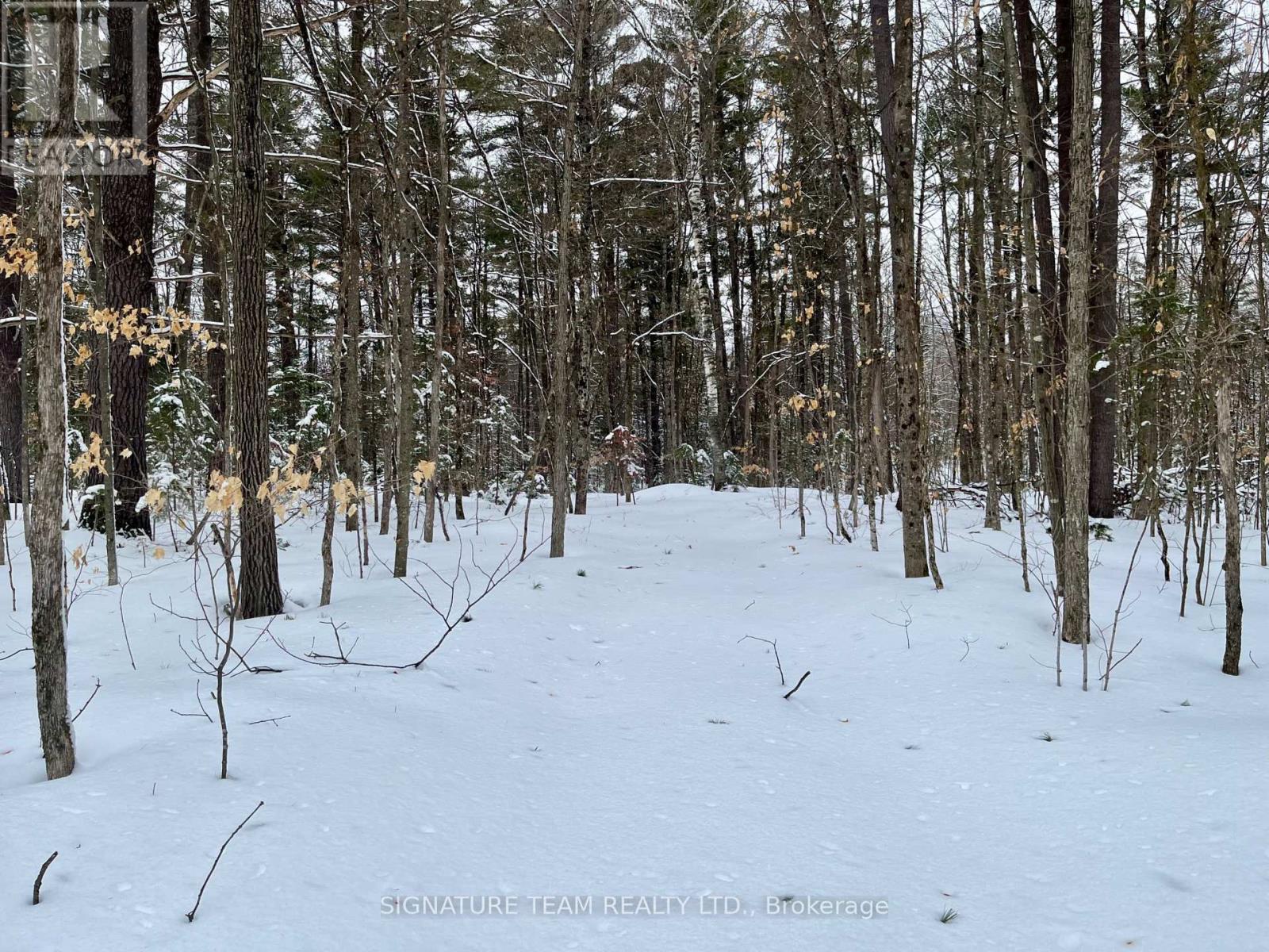 Pt Lt 3 Snake River Line, Laurentian Valley, Ontario  K0J 1K0 - Photo 4 - X12904508