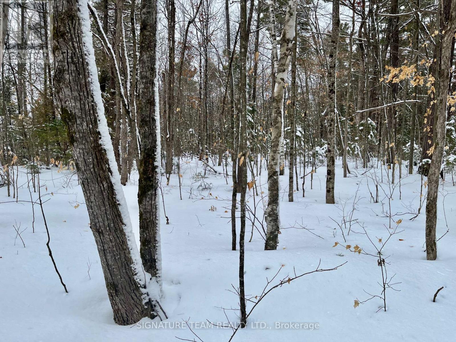 Pt Lt 3 Snake River Line, Laurentian Valley, Ontario  K0J 1K0 - Photo 5 - X12904508