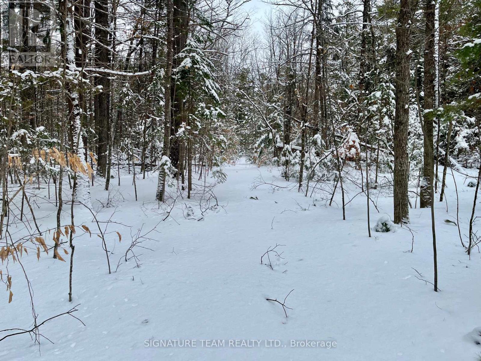 Pt Lt 3 Snake River Line, Laurentian Valley, Ontario  K0J 1K0 - Photo 6 - X12904508
