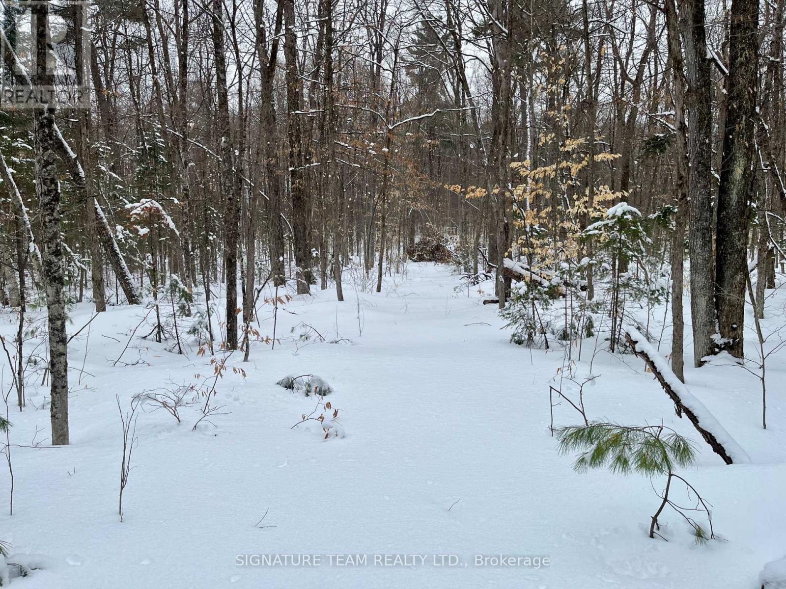 Pt Lt 3 Snake River Line, Laurentian Valley, Ontario  K0J 1K0 - Photo 7 - X12904508