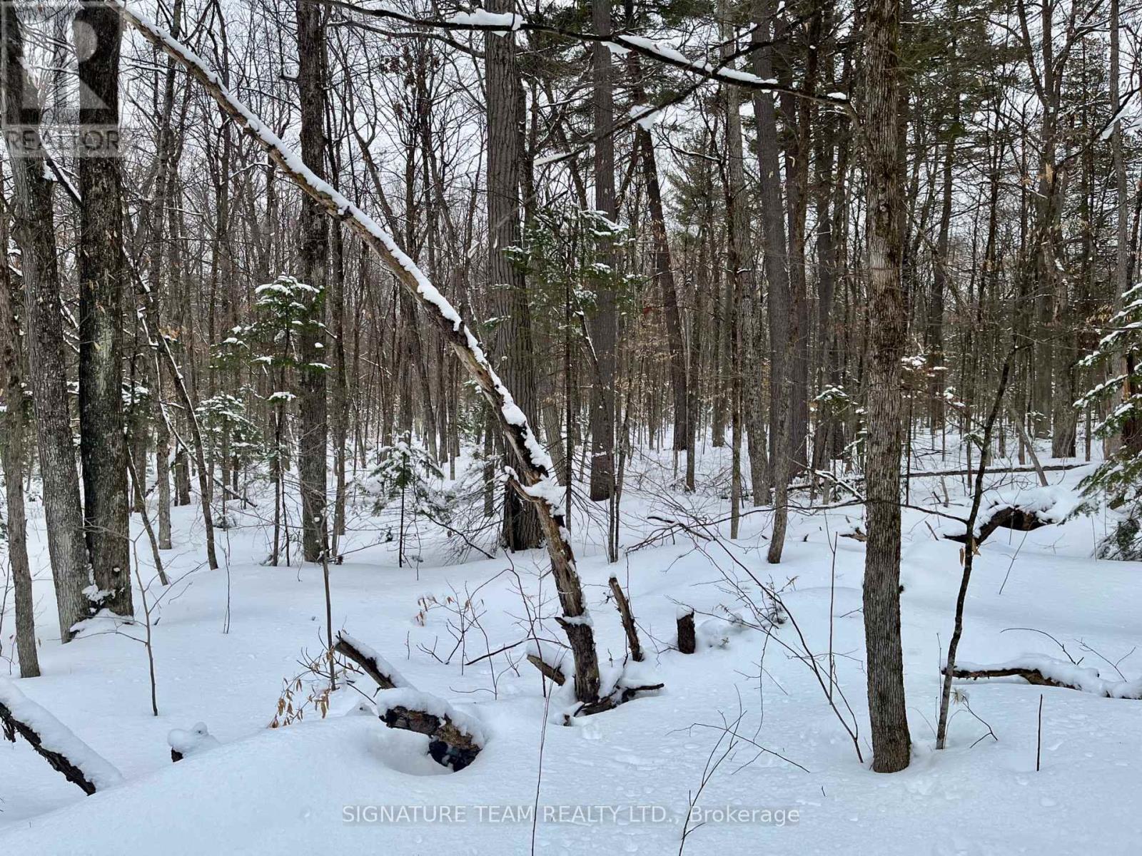Pt Lt 3 Snake River Line, Laurentian Valley, Ontario  K0J 1K0 - Photo 8 - X12904508