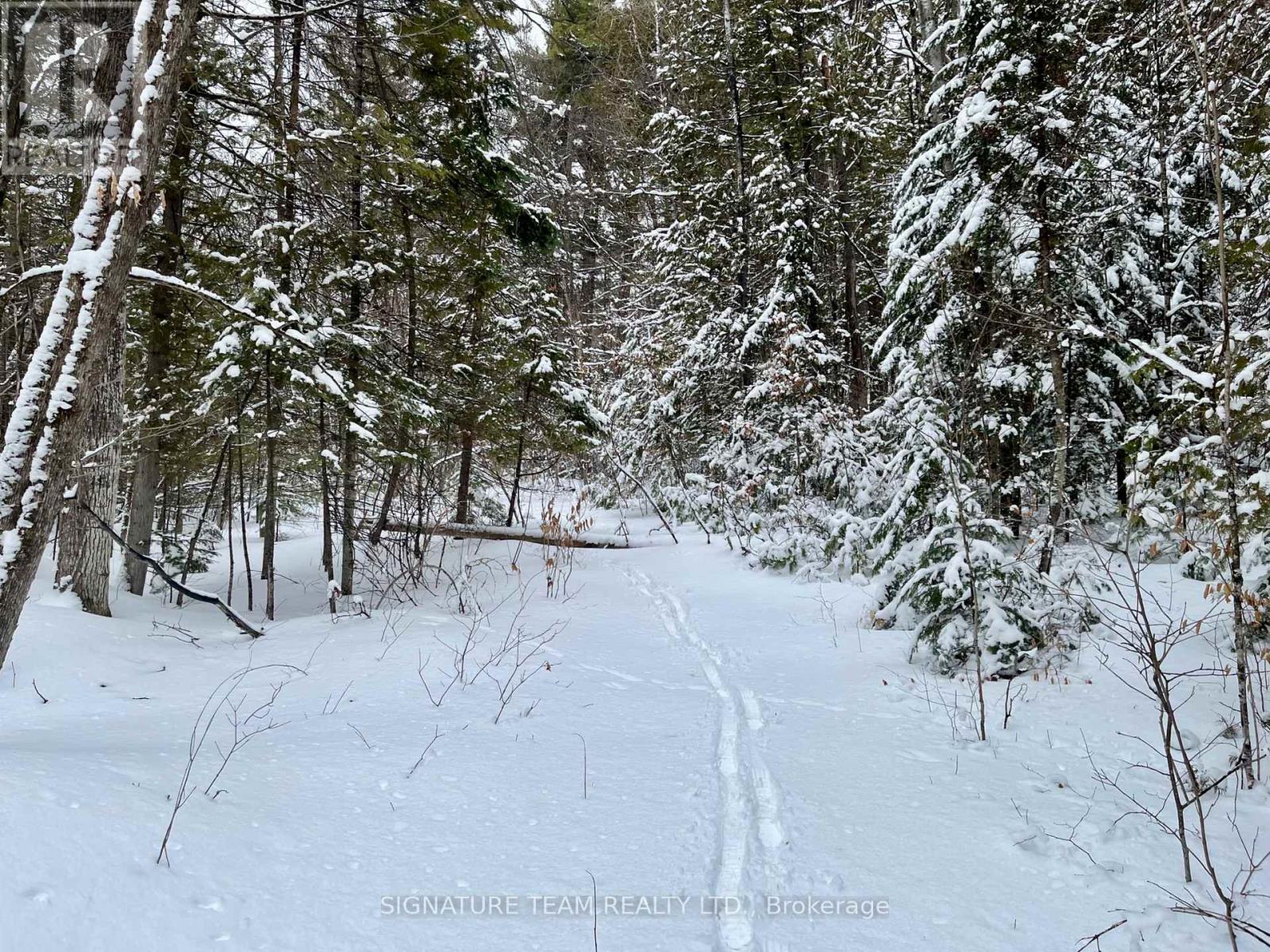 Pt Lt 3 Snake River Line, Laurentian Valley, Ontario  K0J 1K0 - Photo 9 - X12904508