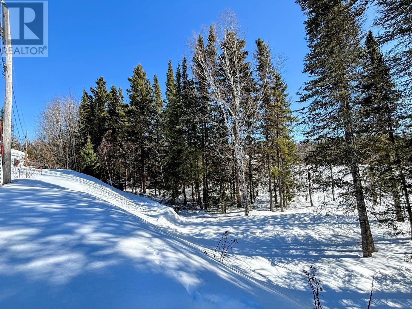 48 Redwing Ave, Manitouwadge, Ontario  P0T 2C0 - Photo 26 - TB2600492