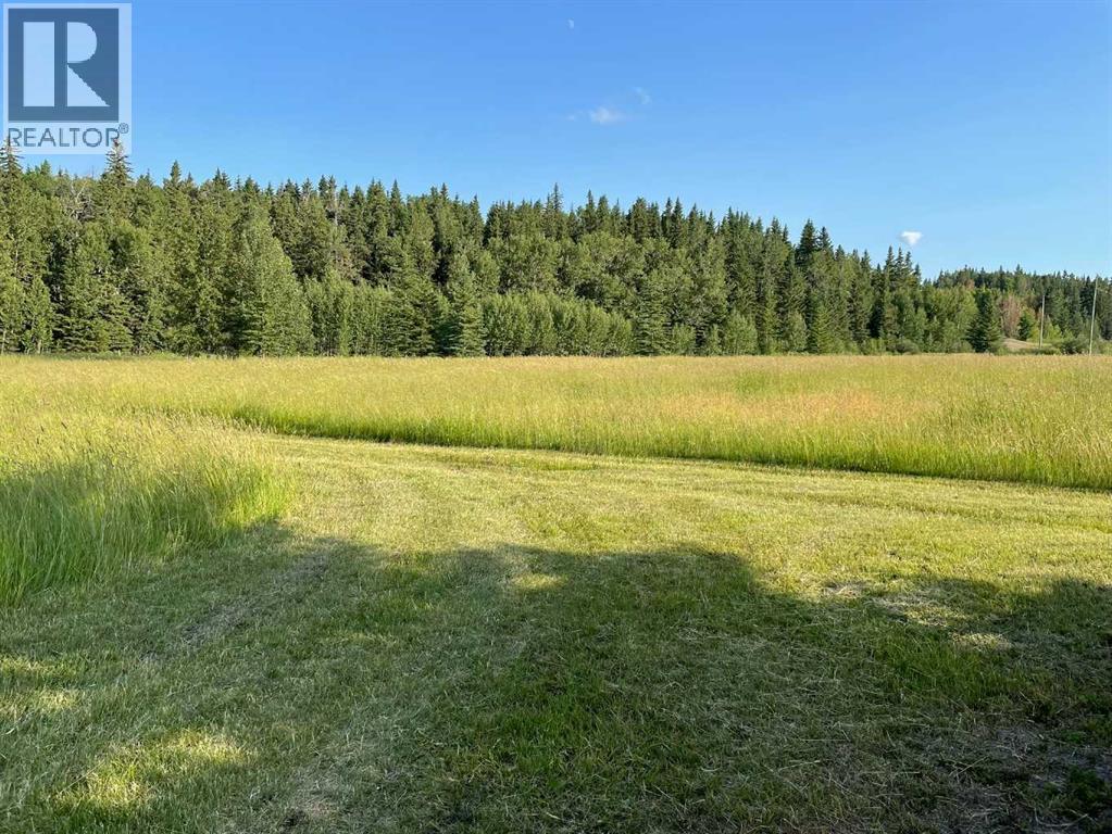 34331 Range Road 41 Road S, Rural Red Deer County, Alberta  T0M 0K0 - Photo 7 - A2294621