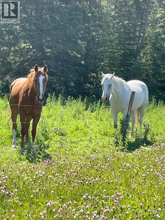 34331 Range Road 41 Road S, Rural Red Deer County, Alberta  T0M 0K0 - Photo 35 - A2294621