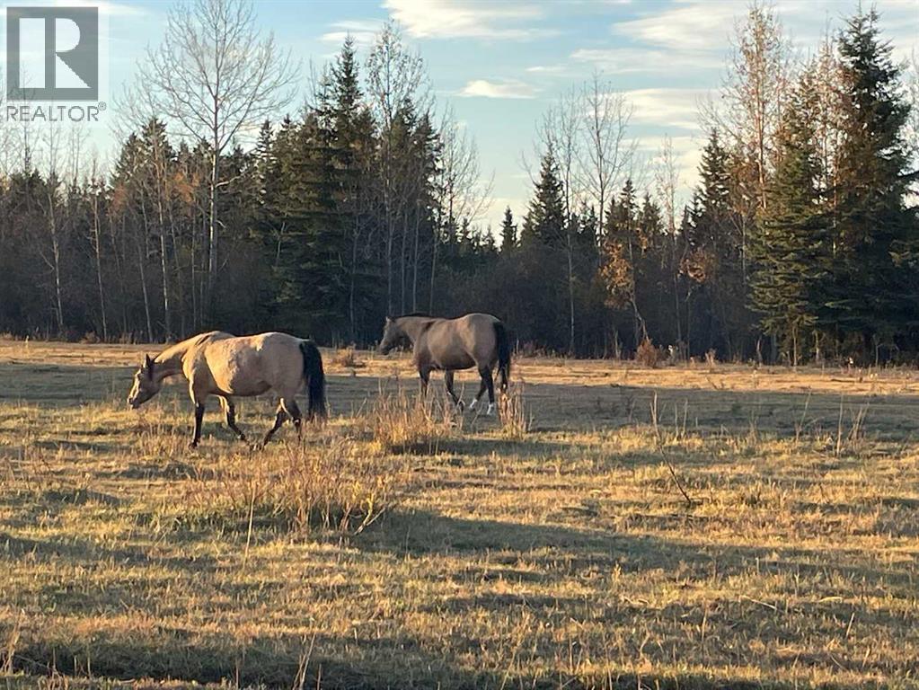 34331 Range Road 41 Road S, Rural Red Deer County, Alberta  T0M 0K0 - Photo 5 - A2294621