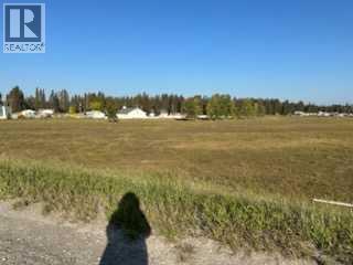 10, 5218 Highway 27, Sundre, Alberta  T0M 1X0 - Photo 4 - A2258249