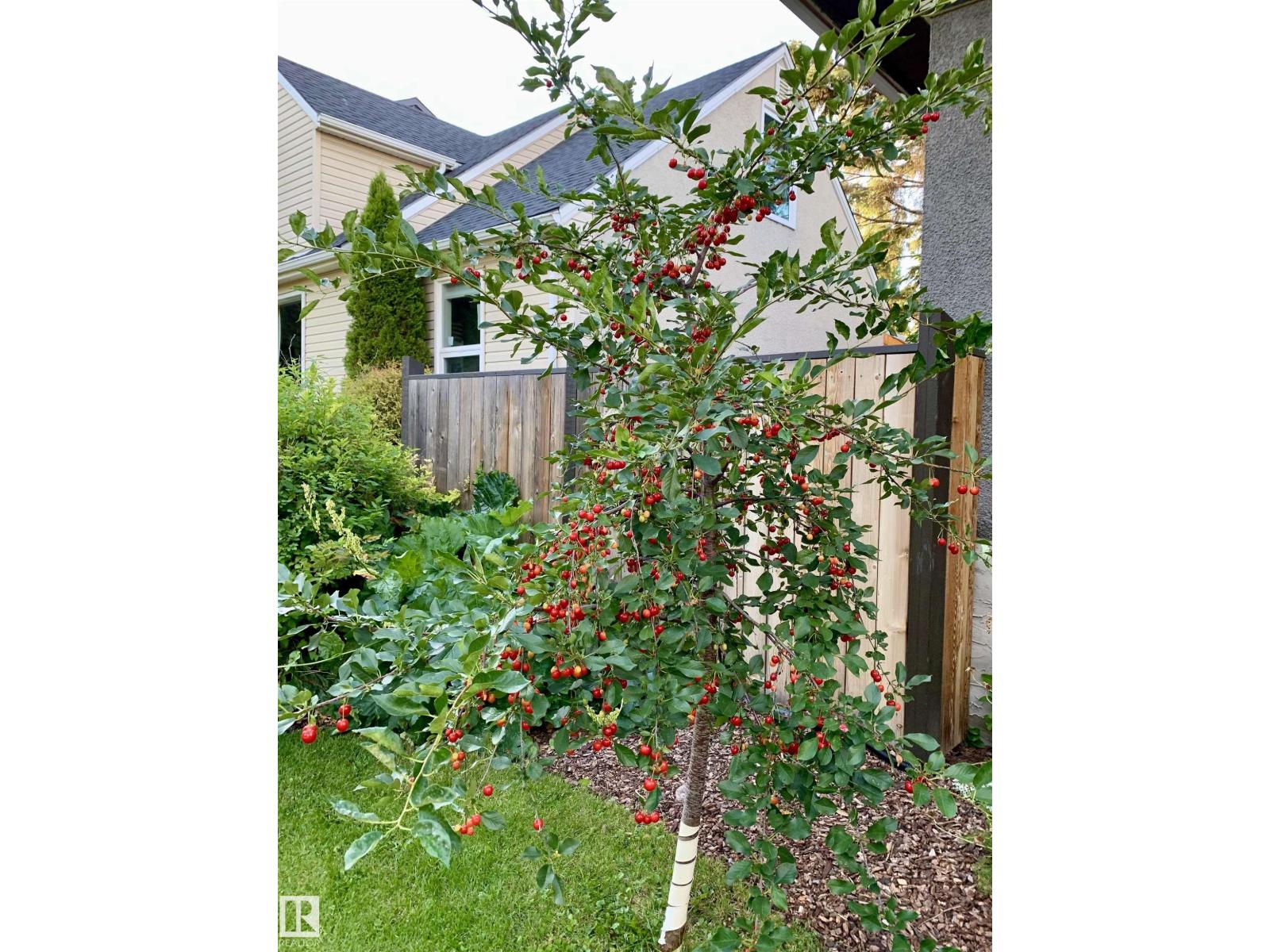 10944 71 Av Nw, Edmonton, Alberta  T6G 0A1 - Photo 46 - E4478337