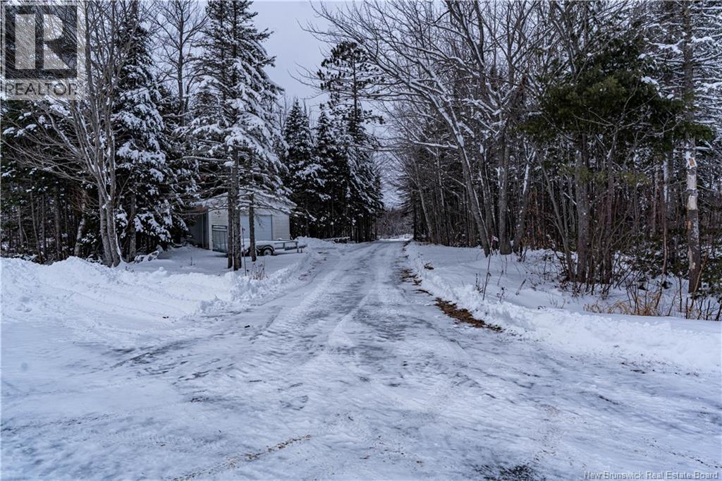 475 Little Branch Road, Black River Bridge, New Brunswick  E1N 5N2 - Photo 47 - NB131762