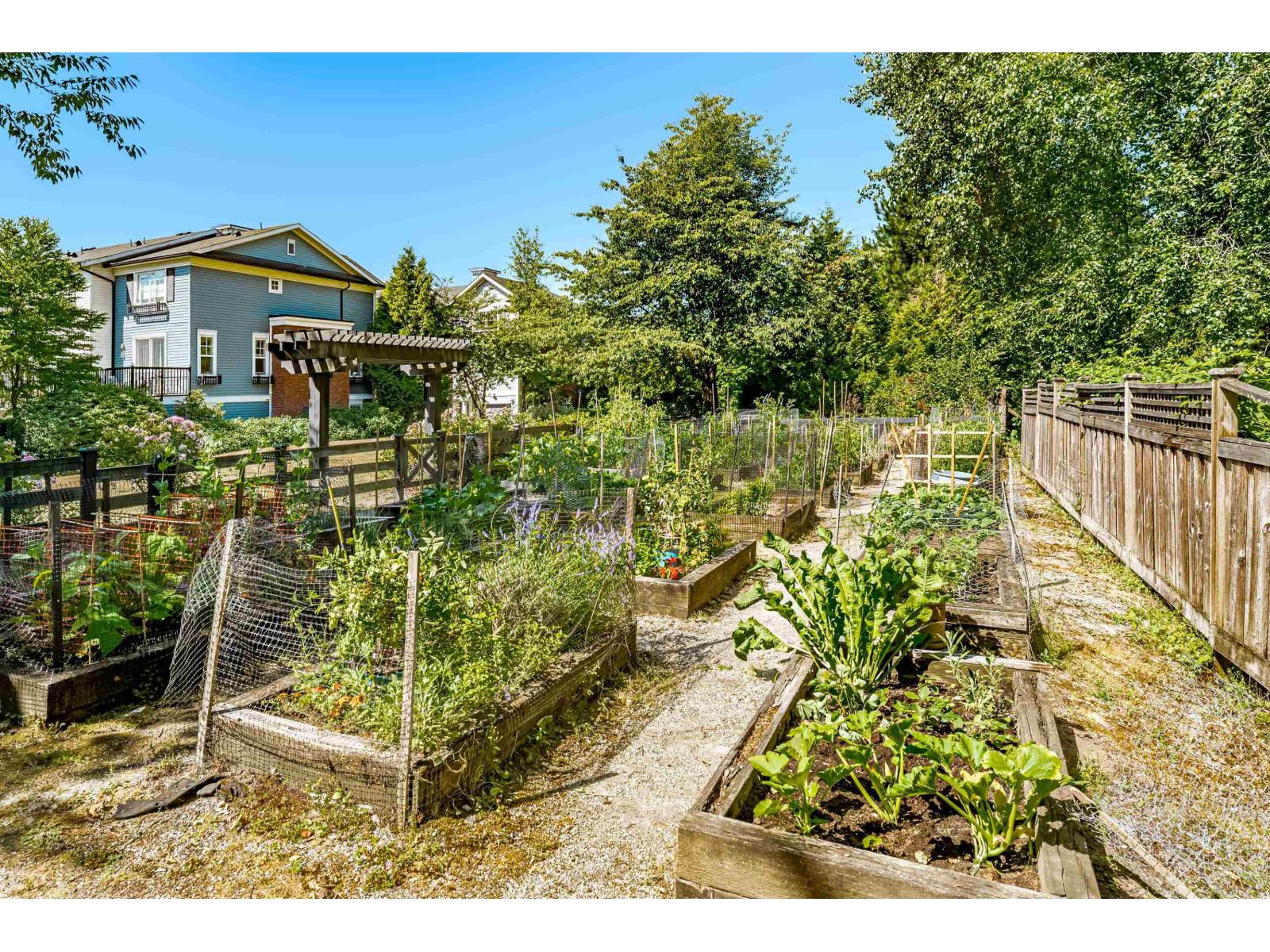 38 18983 72a Avenue, Surrey, British Columbia  V4N 1A5 - Photo 35 - R3101959