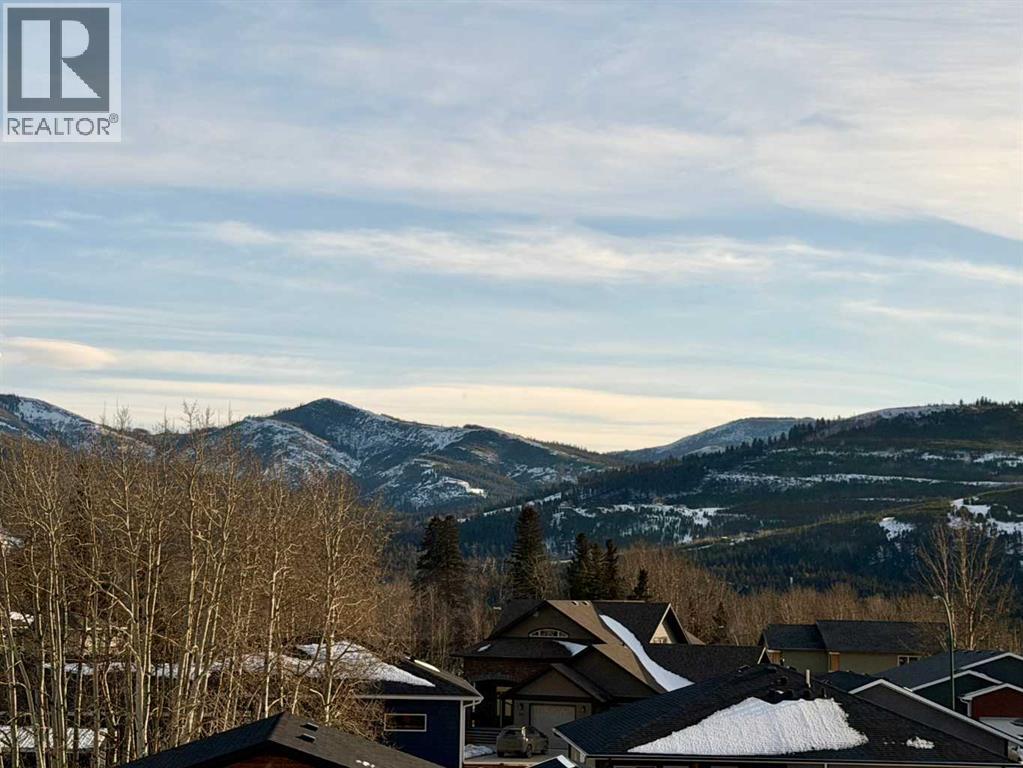 3014 225 Street, Bellevue, Alberta  T0K 0C0 - Photo 2 - A2290128