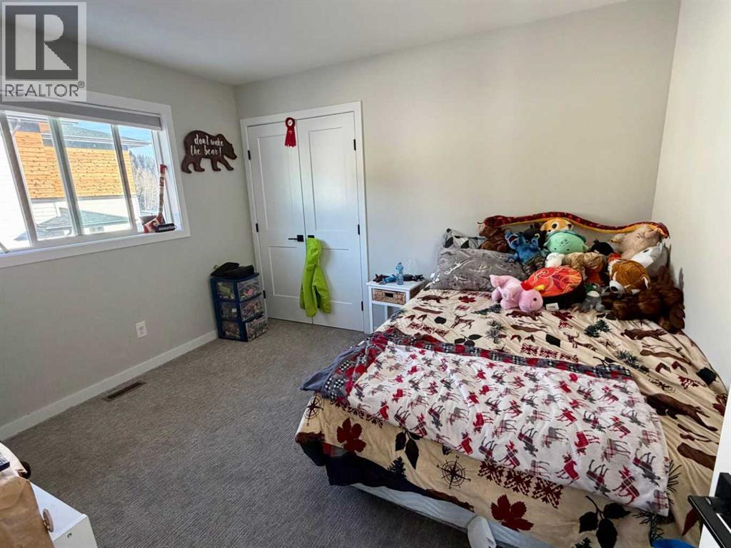 3014 225 Street, Bellevue, Alberta  T0K 0C0 - Photo 20 - A2290128