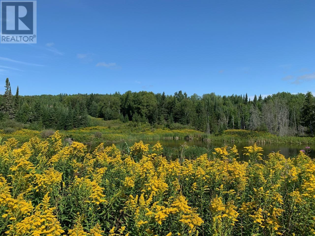 372 Sovereign Rd, Conmee, Ontario  P0T 1W0 - Photo 6 - TB2600482