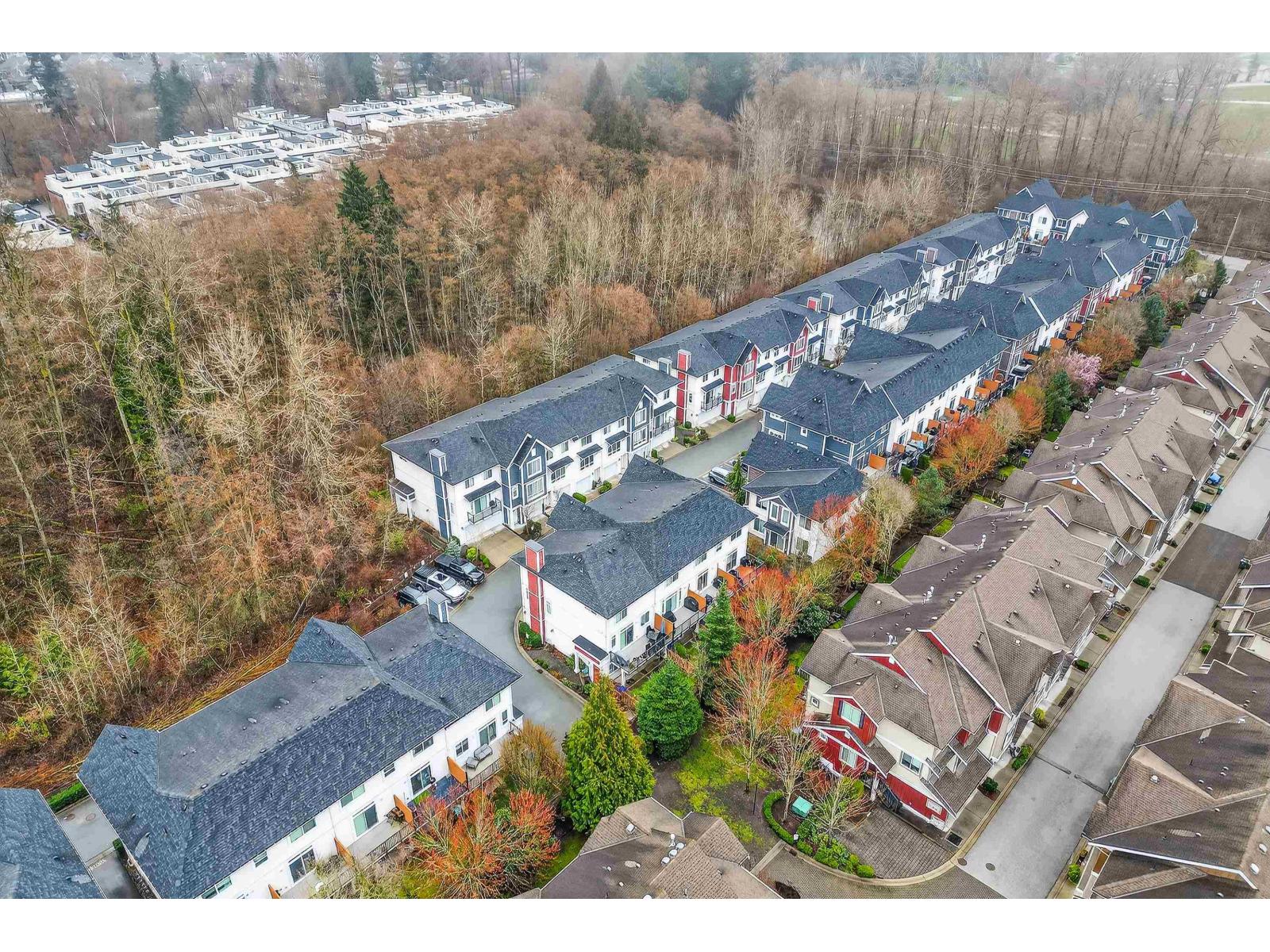 33 3039 156 Street, Surrey, British Columbia  V3Z 6T5 - Photo 33 - R3101342