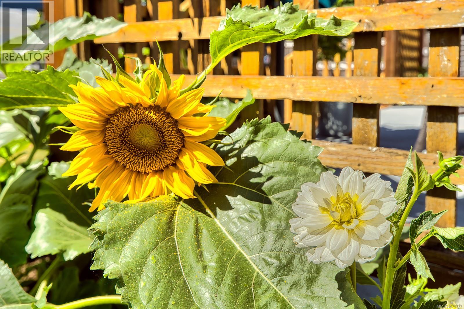 2517 Rosstown Rd, Nanaimo, British Columbia  V9T 3R9 - Photo 4 - 1029327