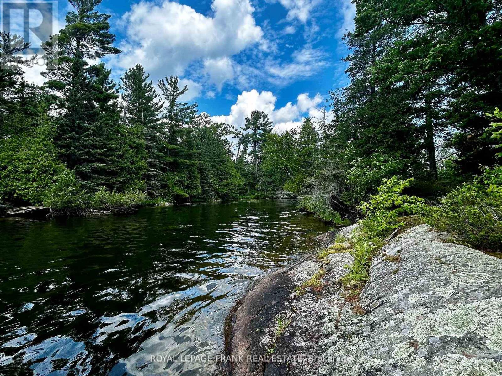 2295 Stony Lake Isl 17, North Kawartha, Ontario  K0L 2H0 - Photo 27 - X12903944