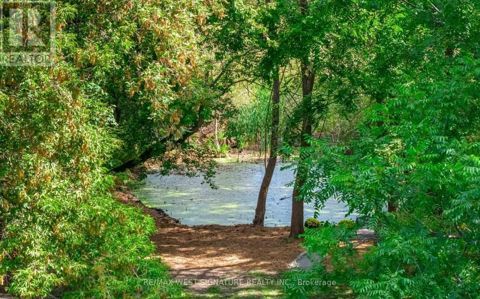 368 Main Street, King (Schomberg), Ontario  L0G 1T0 - Photo 41 - N12904940