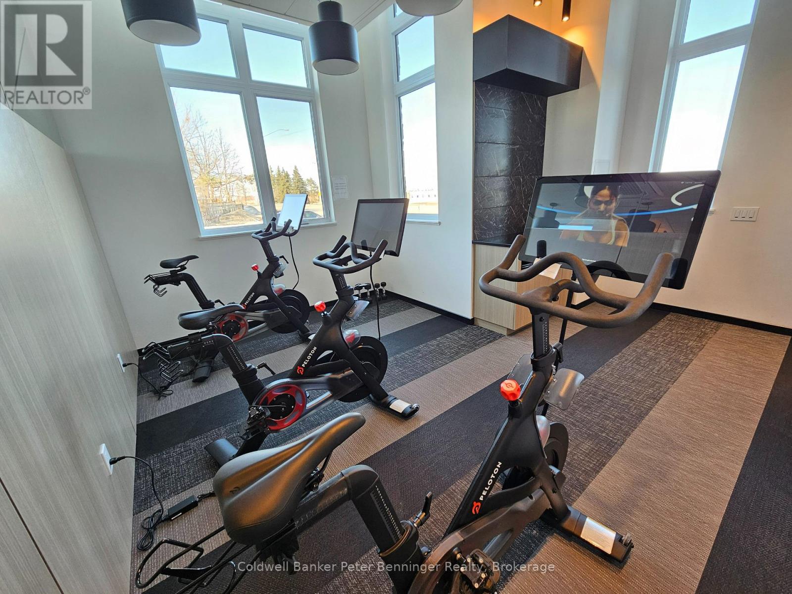 313 - 101 Golden Eagle Road, Waterloo, Ontario  N2V 0H4 - Photo 38 - X12882720