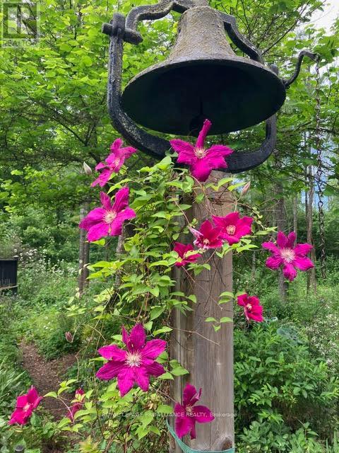 602 Elmbrook Road, Prince Edward County, Ontario  K0K 2T0 - Photo 6 - X12821344