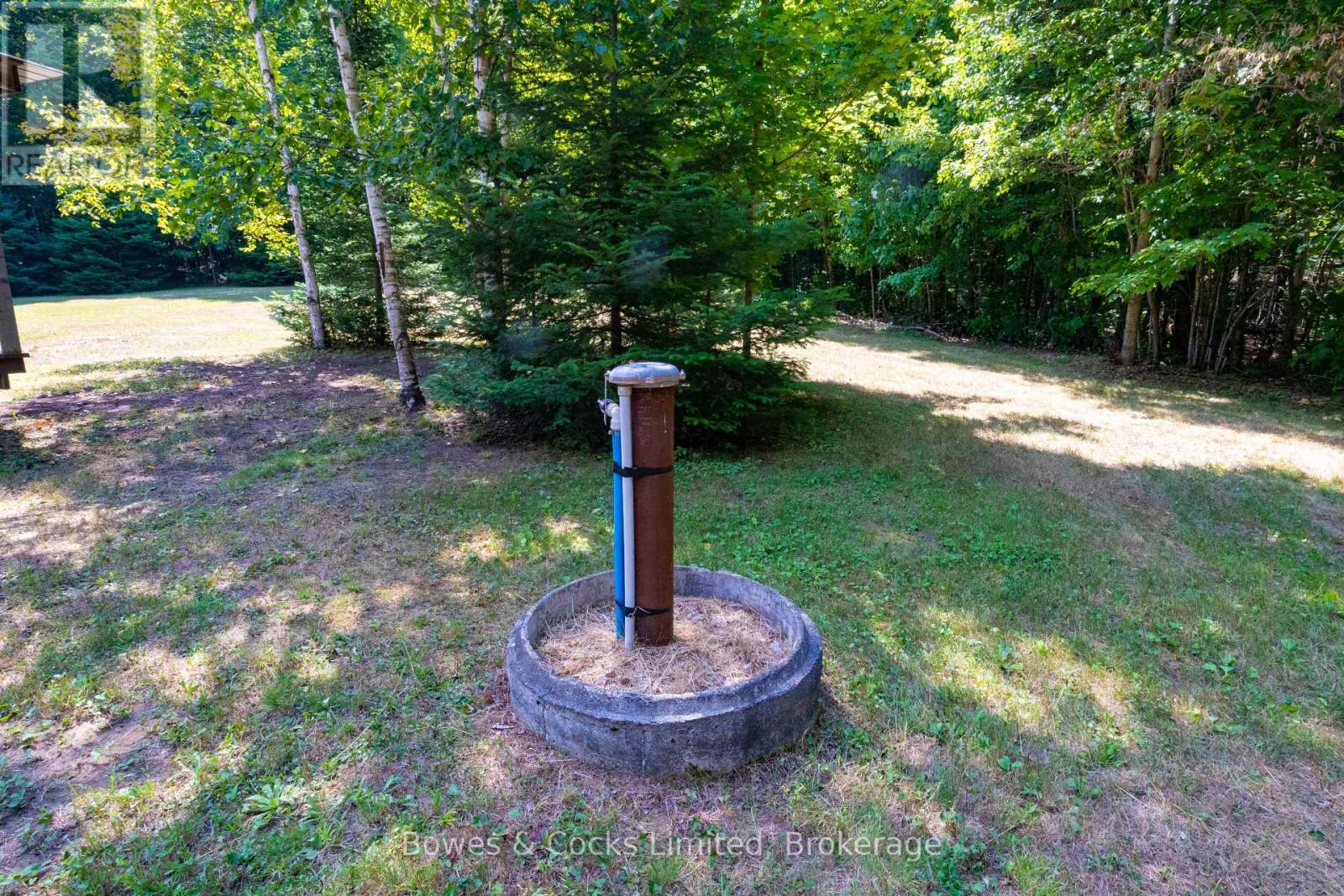 12916 Highway 28, North Kawartha, Ontario K0L 1A0 - Photo 12 - X12905168