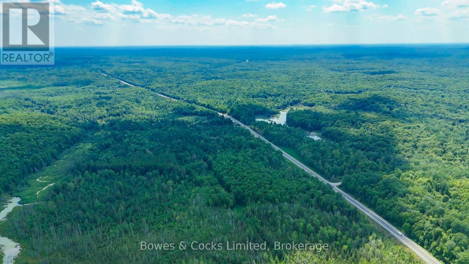 12916 Highway 28, North Kawartha, Ontario K0L 1A0 - Photo 7 - X12905168