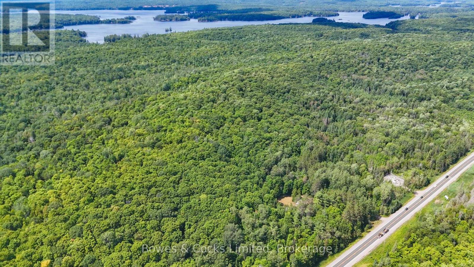 12916 Highway 28, North Kawartha, Ontario K0L 1A0 - Photo 8 - X12905168