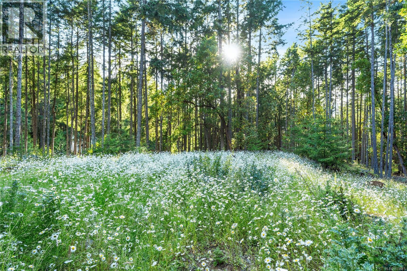 248 Suneagle Dr, Salt Spring, British Columbia  V8K 1E5 - Photo 86 - 1023641