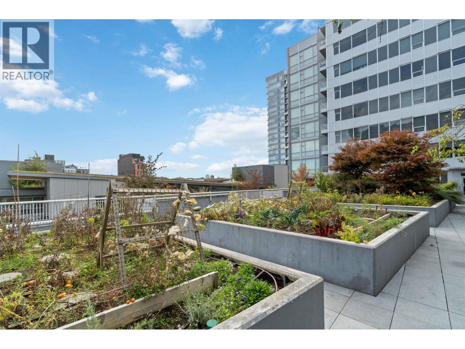 225 108 E 1st Avenue, Vancouver, British Columbia V5T 0E3 - Photo 21 - R3101961