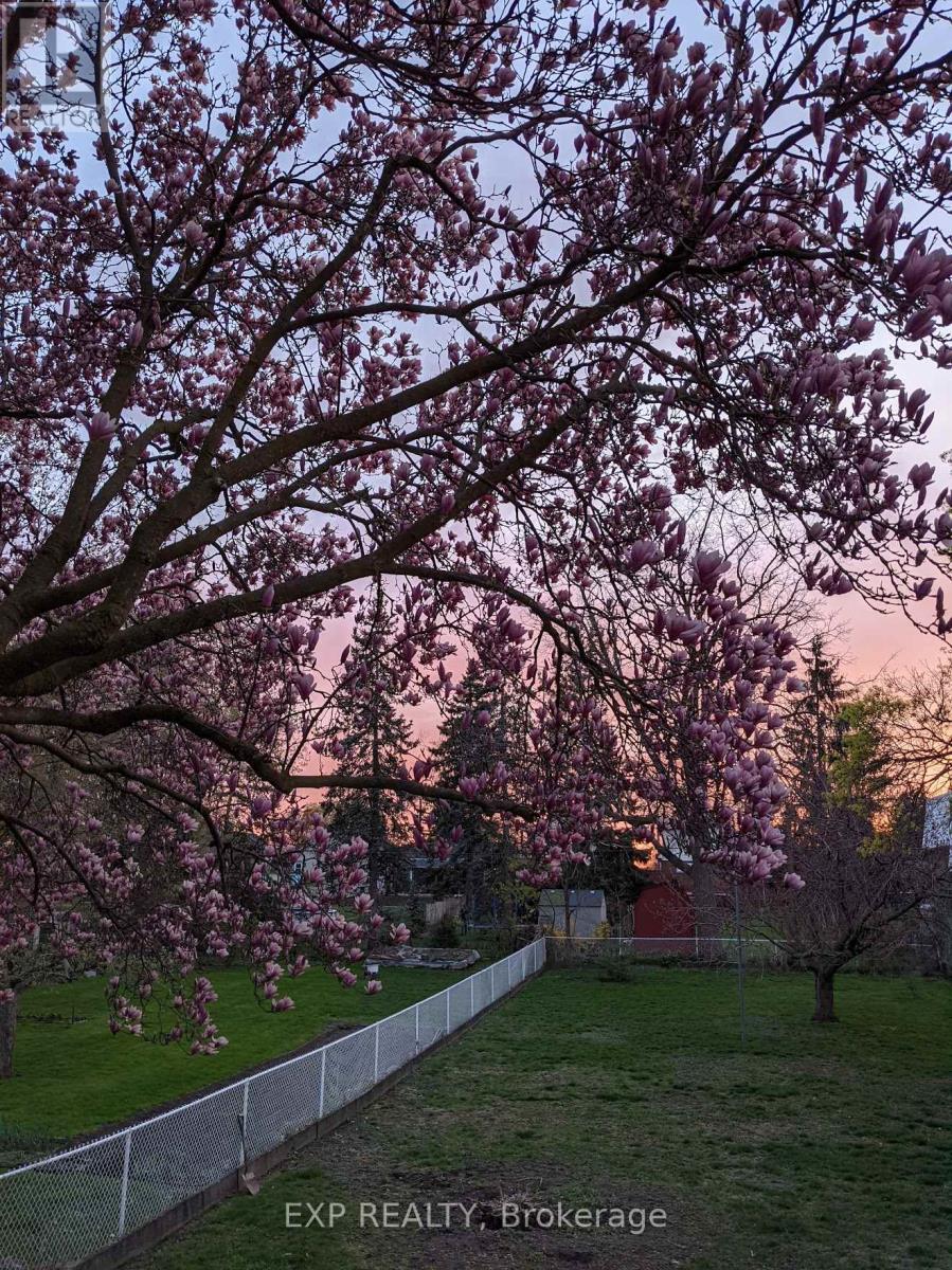 3935 St Peter Avenue, Niagara Falls, Ontario  L2J 2N9 - Photo 39 - X12905232