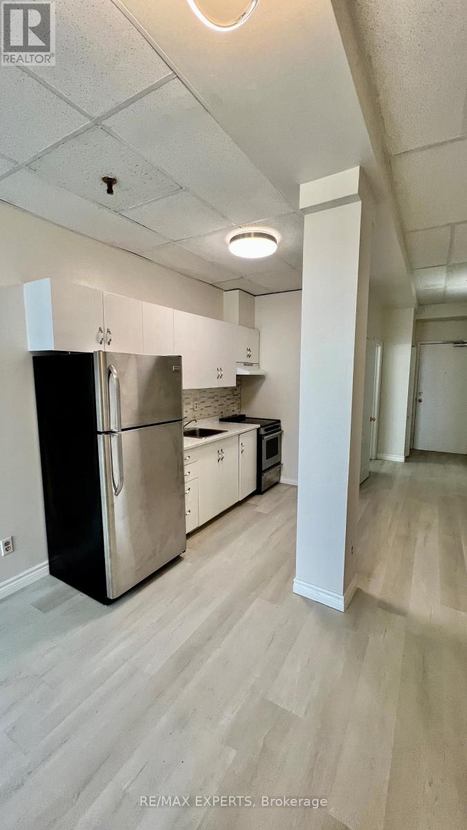 202 - 8 Main Street, Brampton, Ontario  L6W 2C3 - Photo 5 - W12905226