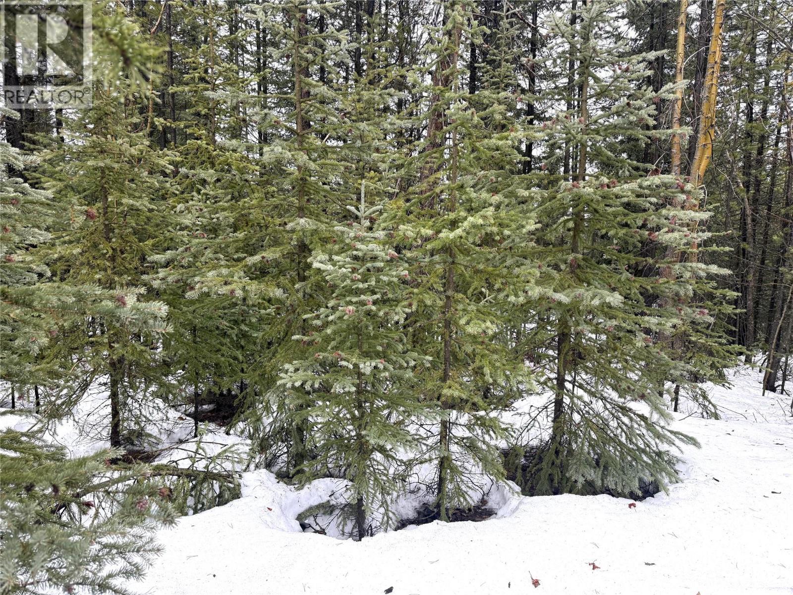 3 DALLAS Place, Elkford, British Columbia