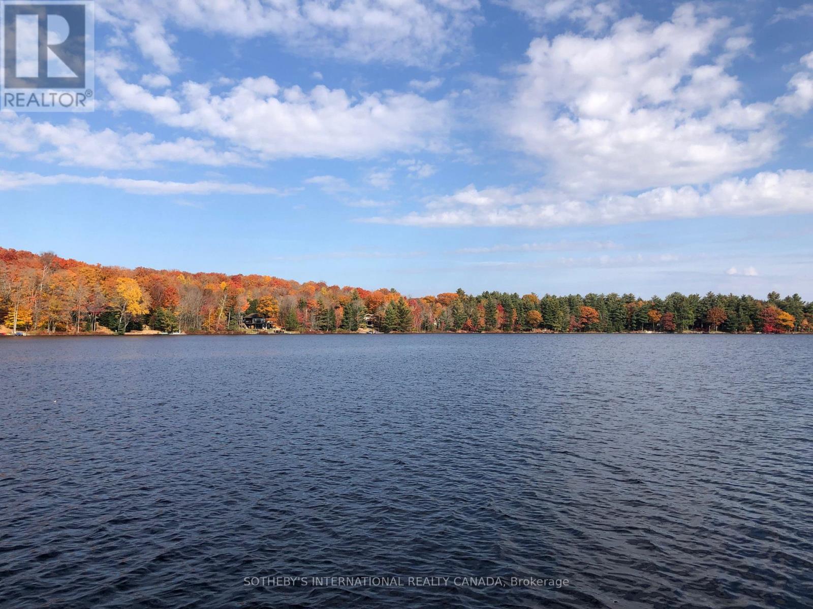 6 - 8091 Lake Joseph Road, Muskoka Lakes, Ontario  P0C 1H0 - Photo 31 - X12905390