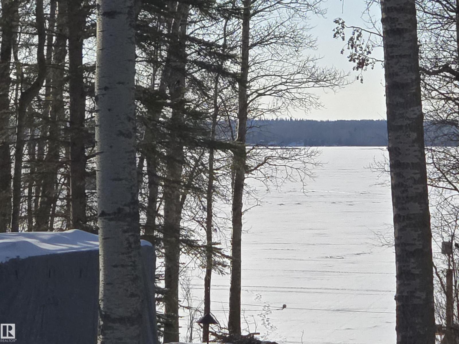 3 Conifer Cr, Rural Lac Ste. Anne County, Alberta  T0E 0V0 - Photo 31 - E4477703