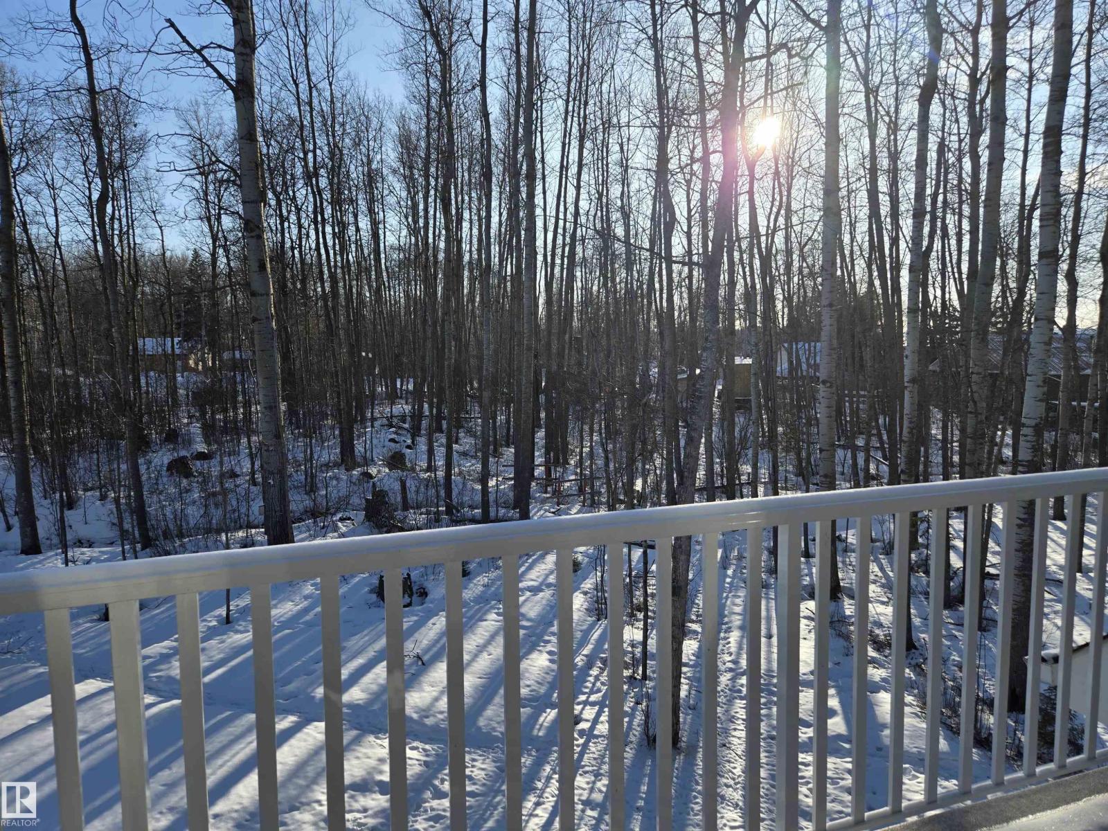 3 Conifer Cr, Rural Lac Ste. Anne County, Alberta  T0E 0V0 - Photo 33 - E4477703