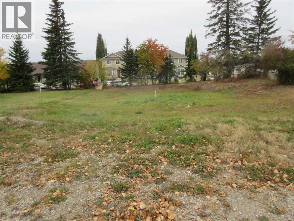 5137 52 Street, Rocky Mountain House, Alberta  T4T 1E3 - Photo 4 - A2262783